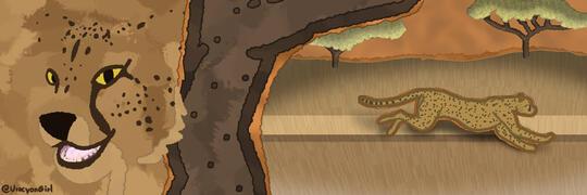 Cheetah banner commission for Jimbo