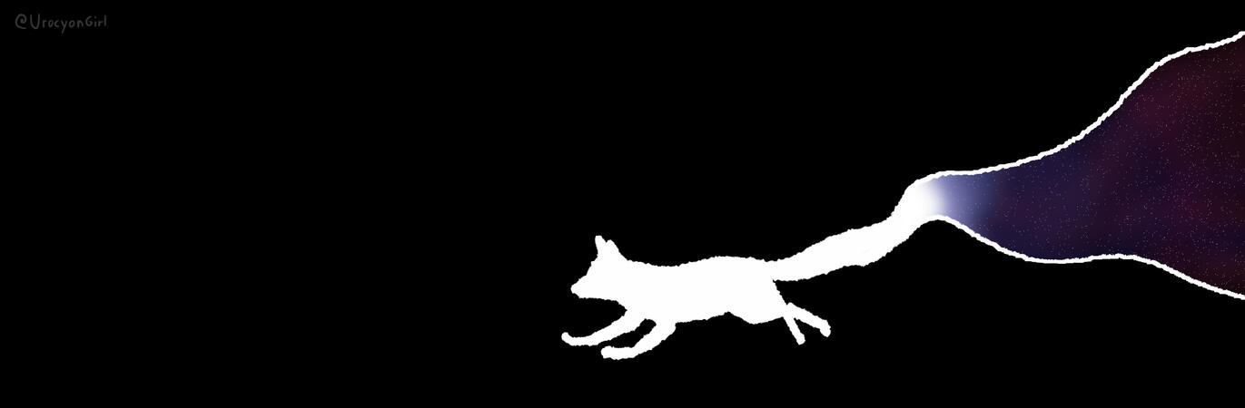 Galaxy Fox