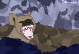 practice hyena
