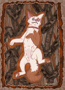 Coyote commission for Breebee