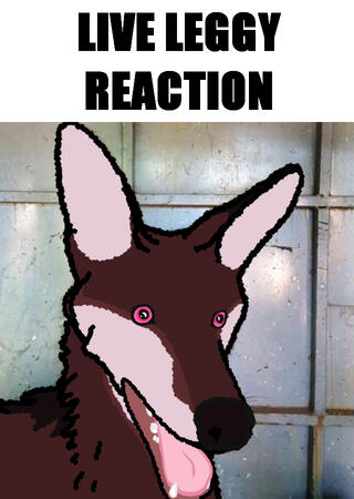 [LIVE LEGGY REACTION]