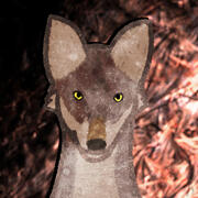 Howly Wolfenoot (61)